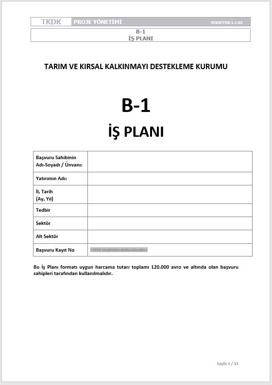 B1 iş planı