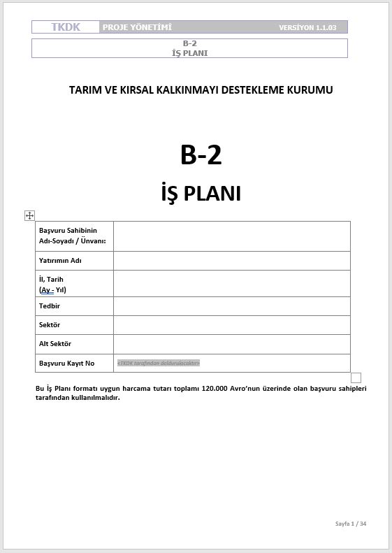 B2 iş planı