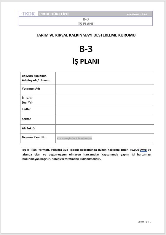 B3 iş planı